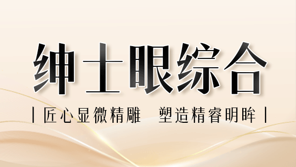 绅士眼综合